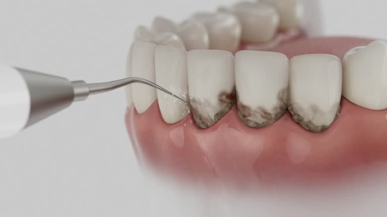 Reliable Dental contractor in Brooksville, FL by Dentist Open Now